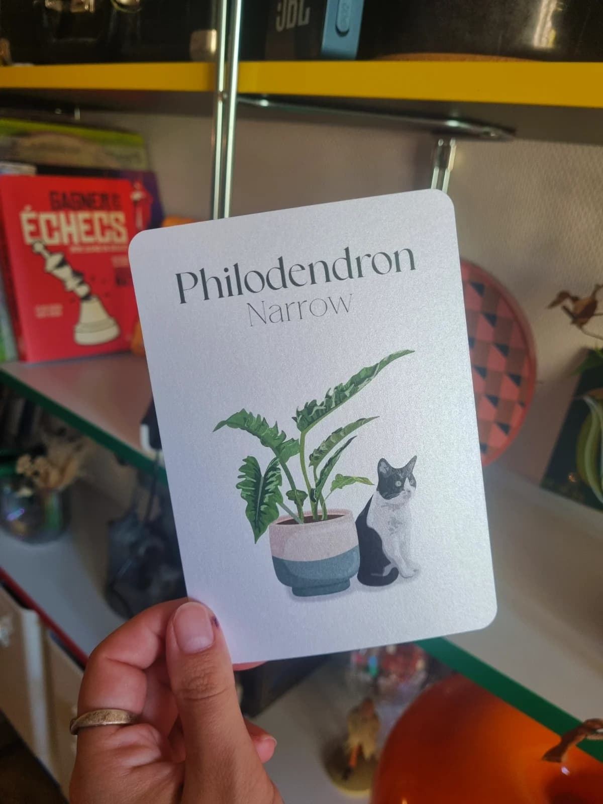 Carte illustrée A6 montrant un chat noir et blanc assis à côté d'une plante en pot.